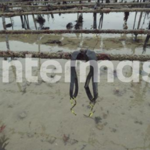 guma-za-kuke-14510mm