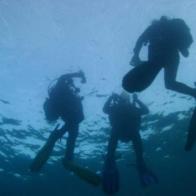 Still 2025-07-26 121319_1.83.1